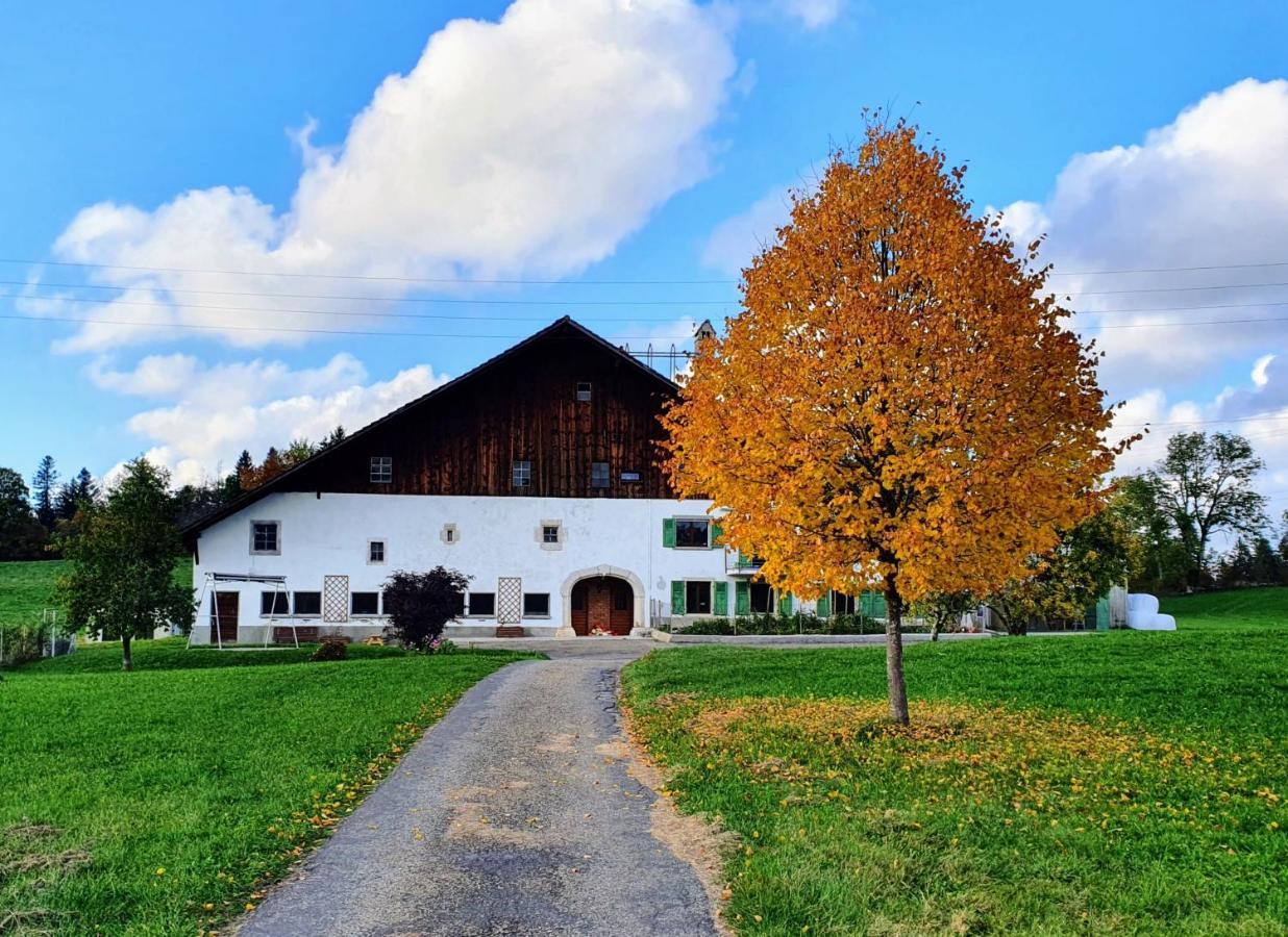 O Valanvron - Appartement Dans Une Ancienne Ferme Neuchateloise ラショー・ド・フォン エクステリア 写真